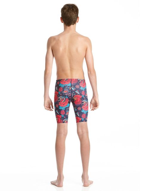 AMANZI Oblivion Jammers